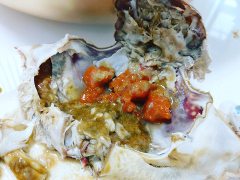 【豊漁10％OFF中】ワタリガニ メス大サイズ冷凍発送１ｋｇ（約2-3杯） 渡り蟹 ガザミ 梭子蟹 ケジャンにも！  がざみ 蟹通販 宮城県産 活状態から冷凍品【冬ギフト】