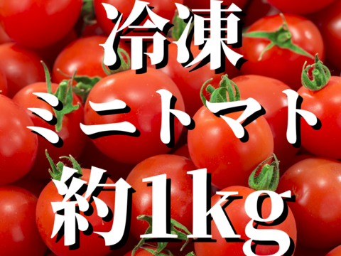 【冷凍】八ヶ岳産 ミニトマト約1kg