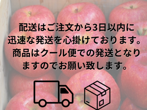 【まるで採れたて】シナノスイート 訳あり 10kg りんご 甘い  ご家庭用  果物 フルーツ お中元 ギフト リンゴ アップル   おやつ 子供のおやつ 貯蔵りんご 父の日 まるで採れたて