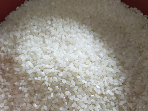 京都の料亭御用達【白米】20kg コシヒカリ 特別栽培米 令和4年産 京