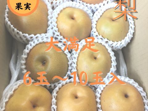 梨 3キロ 6個から11個入り 甘さあふれる旬 梨 南水 梨 秋感じる一品 冷蔵 フルーツ 果実 家庭 新高 豊水 秋泉 敬老の日 プレゼント 誕生日 お取り寄せグルメ おすすめフルーツ 和梨 訳あり