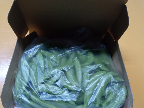 シャキシャキ甘い！沖永良部島産スナップエンドウA品　１キロ