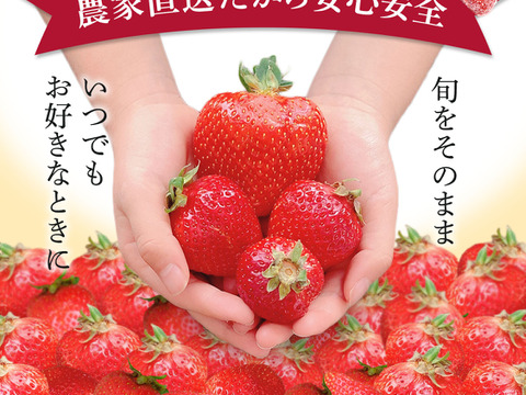 【冷凍いちご】あまおう いちご たっぷり5㎏