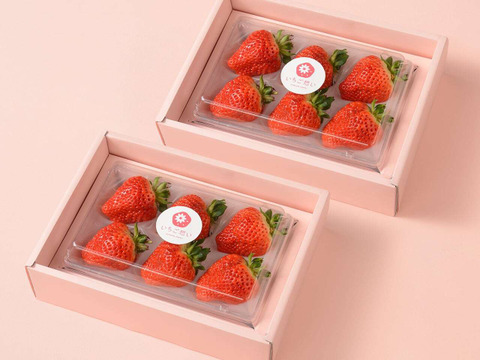 【2箱セット】もっと想いが伝わるいちご-越後姫4Lサイズ6個入り