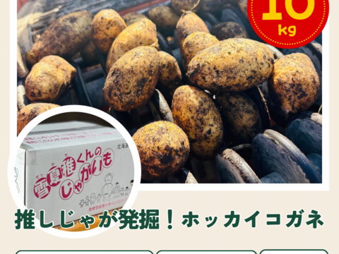～推しじゃが爆誕！蔵出し中熟成～『雪夏稚くん』のホッカイコガネ 10kg