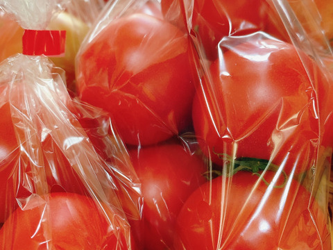 むらざと自然農園のトマト約4キロ　農薬化学肥料不使用　冷蔵便　岐阜県加茂郡白川町黒川　豊かな環境で太陽をいっぱい浴びて育った美味しいトマト♪