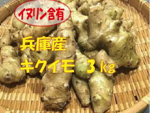 【最短出荷】兵庫産　スーパーフード菊芋3kｇ