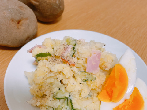 【ホクホク系・じゃがバター最高！】じゃがいもキタアカリ 5㎏