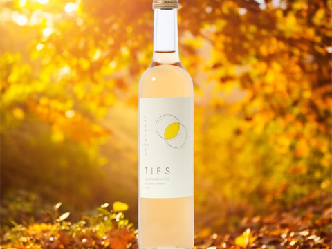 新定番！料理がおいしい梅ワイン　自然栽培の梅100%使用(無添加)
Japanese apricot  wine 'TIES' 500ml  2本セット