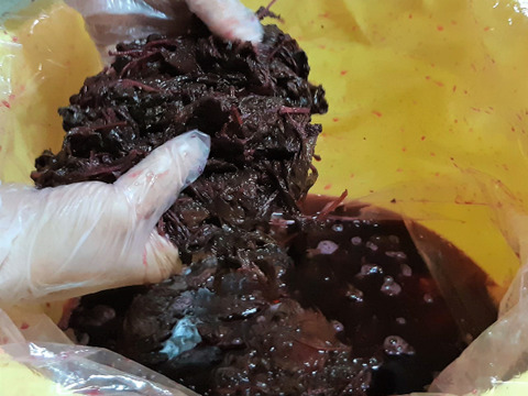 昔ながらのしょっぱい｢さくら｣梅干し　１kg（500gで25～30個）×２ﾊﾟｯｸ　※ご家庭用