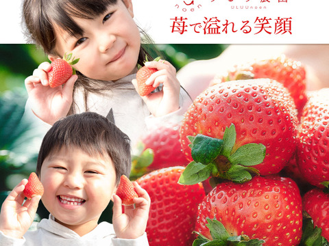 いちご うるベリー220g×2パック【冬ギフト】