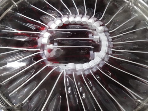 メール便特別価格！赤紫蘇商品お試し3種類(シロップ・ジュース・寒天ゼリー飲料)