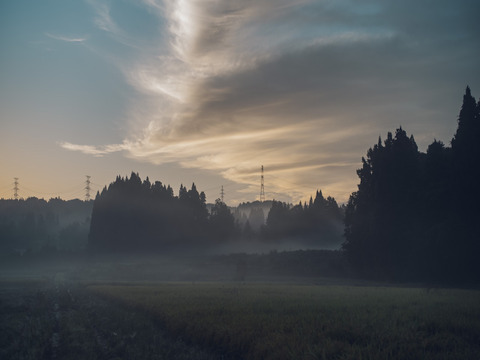 【令和7年産新米】特別栽培米コシヒカリ（玄米）10kg　石川県産