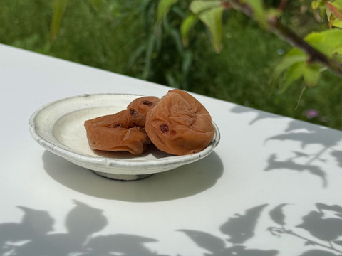 【訳あり（雹被害）】自然栽培 紀州南高梅｜ひとみずの梅干し 500g｜無添加・無肥料・農薬不使用｜見た目にキズあり／味・品質そのまま｜ご家庭用