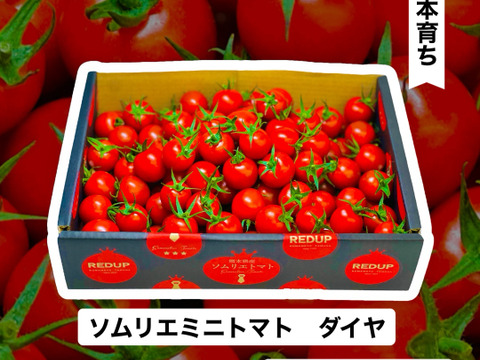 【塩トマトのようなフルーツトマト】ソムリエミニトマト　ダイヤ
箱込み１.５ｋｇ（７５玉～９０玉）