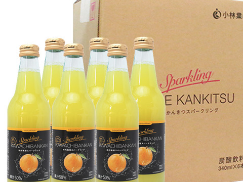 【訳あり】河内晩柑スパークリング340ml×6本