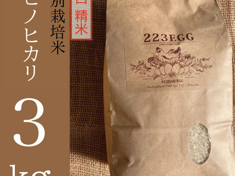 ＜上白 精米＞特別栽培米「ヒノヒカリ」[ 3㎏ ]【令和5年米】