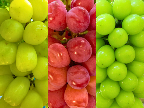 《シャイン品種食べ比べ》シャインマスカット＋マイハート＋雄宝のセット