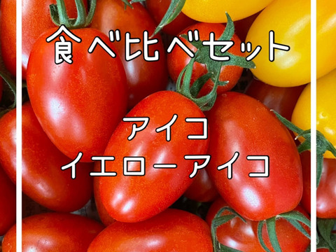 ミニトマト‼️食べ比べセット‼️アイコとイエローアイコ‼️