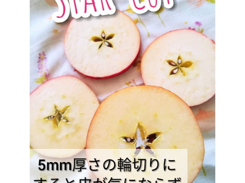 【希少品種】ピンクレディー®5kg箱｜冬の終わりに一番おいしい“大人のりんご”