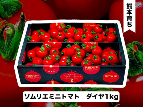 【特別栽培農産物の取得】ソムリエミニトマト　ダイヤ１kg（６０玉～９０玉）