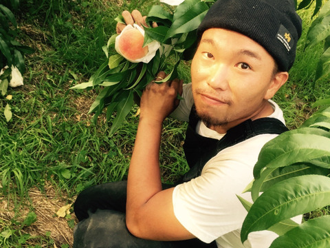無農薬栽培の「美味しい桃」 / 和歌山県産 / 小箱 （約5〜8個 / 約2kg）