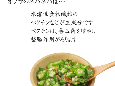 熊本県八代産　朝採おくら　１kg　100本以上