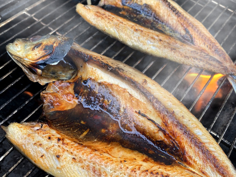 【夏ギフト】５種！イワシ食べ比べセット