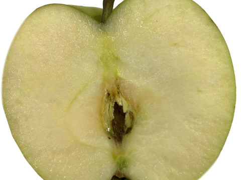 甘ぁ～い💛トキ🍏家庭用約4.5Kg🍏青森県産　数量限定