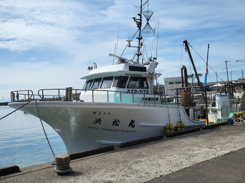 【-60冷凍】デカい！甘い！ブリブリ子持ちボタンエビ３㎏（６パック）