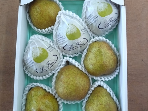 食味審査 優秀賞★大玉厳選！山形県産ラ・フランス★とろける食感と高貴な香り(3kg箱)