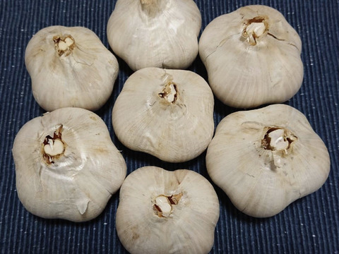 ジャンボニンニク　一片種と分球混合【乾燥】1kg