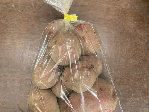 じゃがいも　アンデスレッド（1kg）【栽培期間中農薬・化学肥料不使用】