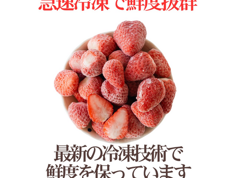 【大人気　静岡限定品種】冷凍いちご〈きらぴ香〉 ２ｋｇ　使い切りやすい500gパックｘ4袋