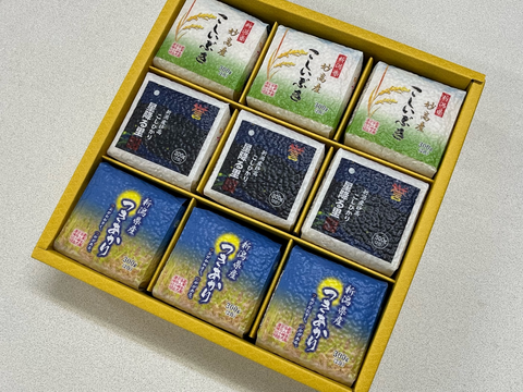 令和7年産　新潟県産　真空パック米３００ｇ×９個セット　白米