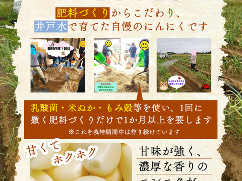 ★『農薬・化学肥料・除草剤・防虫剤等不使用』 福地ホワイト六片 にんにくバラ  ５kg ★