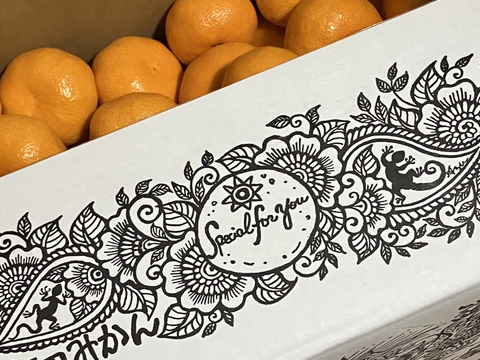 【深～く甘いコクと余韻】年末年始はこの🍊！【晩生みかん５kg】