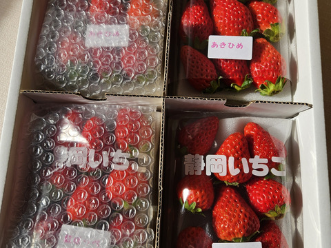 4Pいちご狩りの美味しさをお届け！伝統の石垣いちご（270g×4パック）