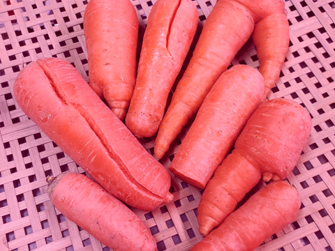 [なゆた農場][訳あり]人参B品5kg