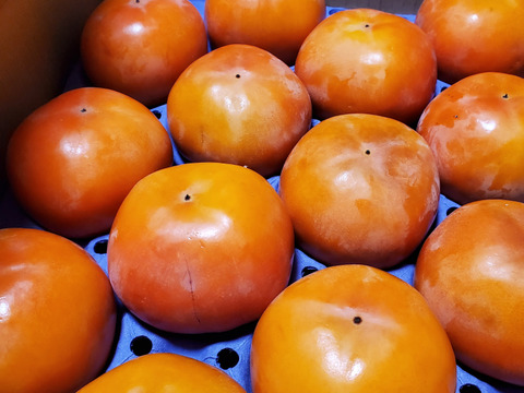 【家庭用】【富有柿】3.5kg  (10玉〜14玉)【高糖度】