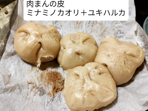 香り豊か！【自然栽培】パン用小麦粉『ミナミノカオリ』（800g）