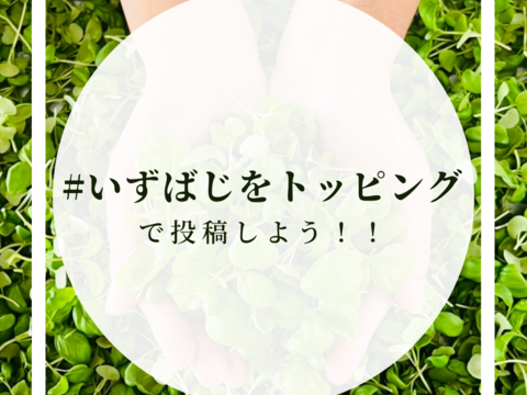 和食やスイーツにも！ベビーバジル【いずばじ】(20g)【テレビで紹介されました】