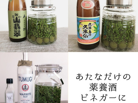 2025うまぶどう果実250g【冷凍】有機JAS認証取得済☆レシピ