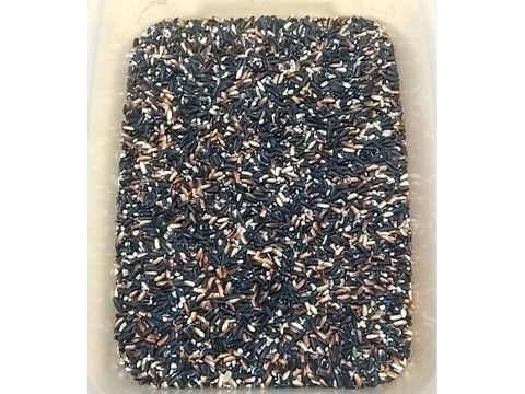 いつもの白米に＋サプリメント米「黒米(もち系)」1kg