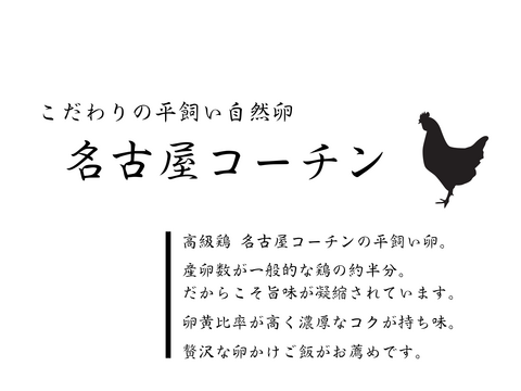 平飼い 卵 24個セット］名古屋コーチン 223EGG たまご | 卵/鶏卵