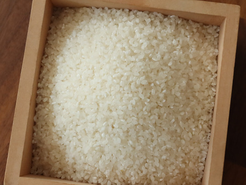 ＼フォロワー限定／【信州産】新米10kg「風さやか」／本気農場いけだ　※商品説明文を必ず最後までご確認ください※