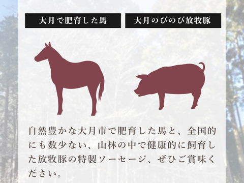 無添加！『馬・豚・羊』サラミ＆ウィンナー贅沢セット