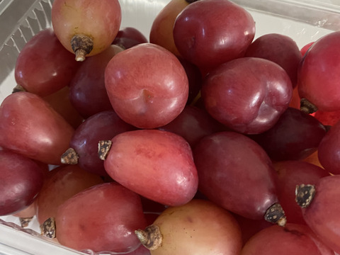 食べ比べ♡マイハート♡バイオレットキング♡つぶつぶパック1キロ♡山形県産ぶどう