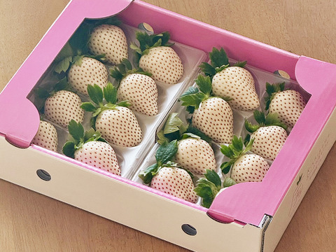 【数量限定】佐賀県産 白いちご「こころの色」