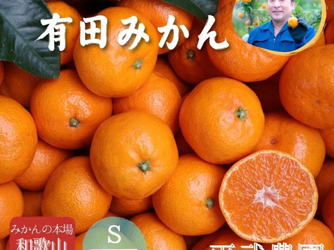 有田みかん農家直送ご家庭用 冬ギフト】農家直送！有田みかん7.5kg≪Sサイズ 秀品≫【平武